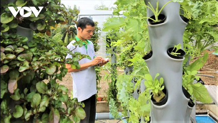 Ketika Para Pemuda Vietnam Kembali ke Pertanian Organik
